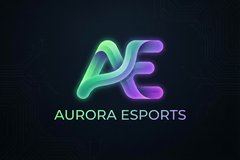 芒果视频合作品牌极光电竞